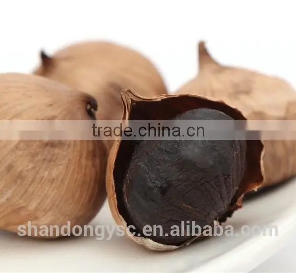 China Garlic Factory Offers Best Natural Black Garlic Price photo-6