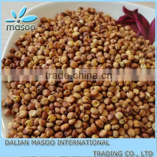 Sweet Sorghum Seed From Inner Mongolia