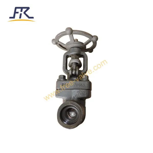 Forged Carbon Steel A105N Class 800 Gate Valve photo-4