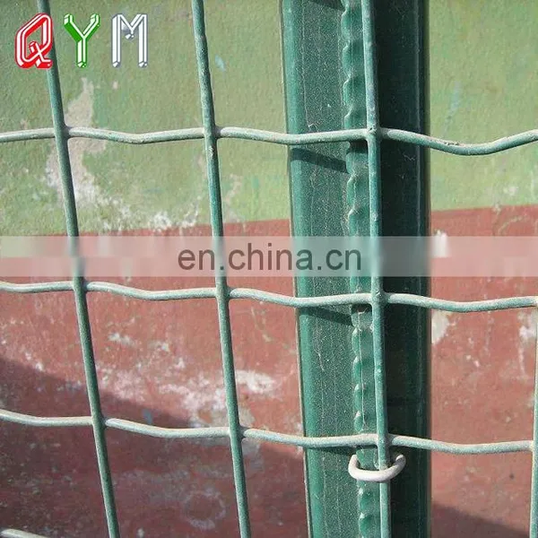 Holland Wire Mesh Fence Euro Fence photo-3