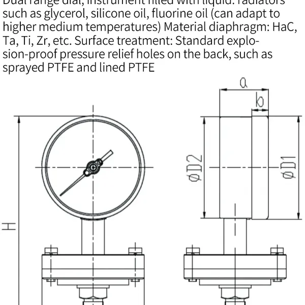 Flange Type Pressure Gauge DN25 DN50 1.6MPa， photo-5
