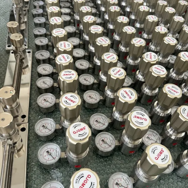 Stainless Steel Single-gauge Pressure Reducing Valve for High-Corrosion Environments photo-5
