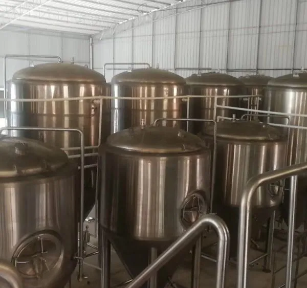 Turnkey Brewing Equipment Solution with Installation and Training