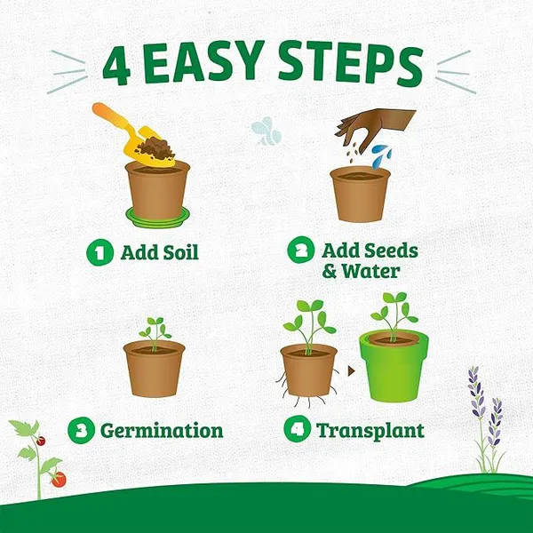 Disposable Jiffy Pot for Seedling Transplant Peat Pot 40 Cells per Flat photo-2