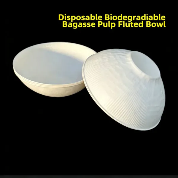 500ml Disposable Bowl, Sugarcane Bagasse Pulp, Compostable & Biodegradable, White photo-5