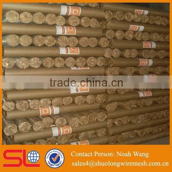 High Quality Galvanized Welded Wire Mesh photo-6