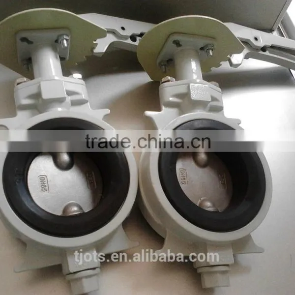 Stainless Steel /Cast Iron Wafer Butterfly Valves From Valve Supplier photo-6