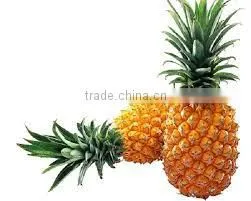 Queen Pineapples Slices in Light Syrup 3100ml x 6tins photo-3