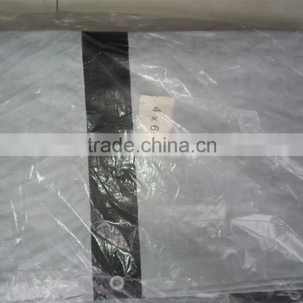 Tarpaulin in Roll, Cheap Price Good Quality Rolling Tarp Fabric, Wholesale Tarpaulin photo-2