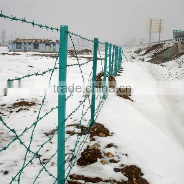 Anping Factory Galvanized Barbed Wire photo-5