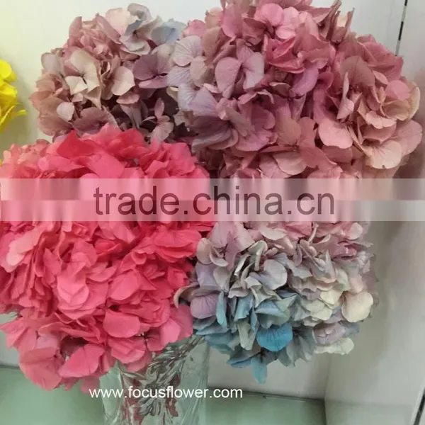 High Quality Fresh Preserved Flower Blue White Hydrangea Bouquet For Christmas photo-6