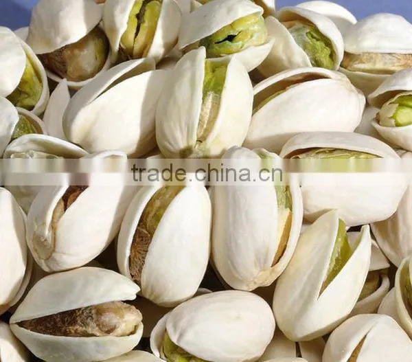 High Quality Bulk Pistachio Nuts Factory Price