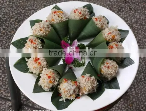 High Quality Bamboo Leaves for Sushi photo-2