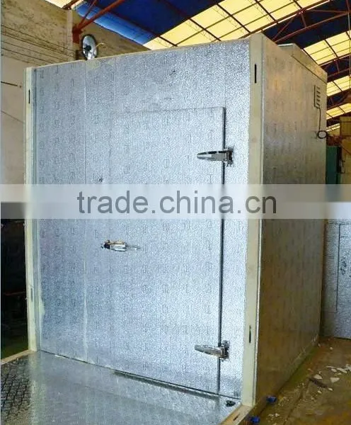 Polyurethane Cold Room Door photo-4
