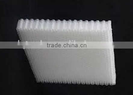 High Quality Polypropylene Honeycomb Sandwich Panel photo-3