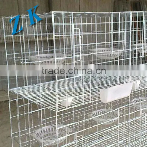 Galvanized Steel for Chicken Cages photo-3