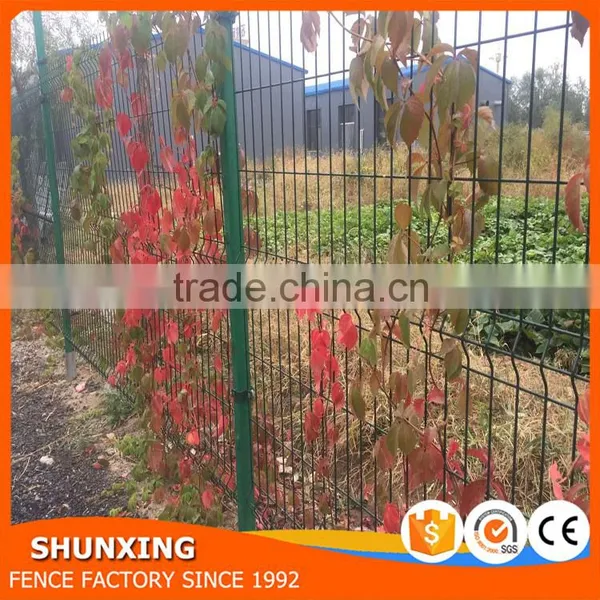 Blue Color Metal Wire Fence (factory&exporter) photo-3
