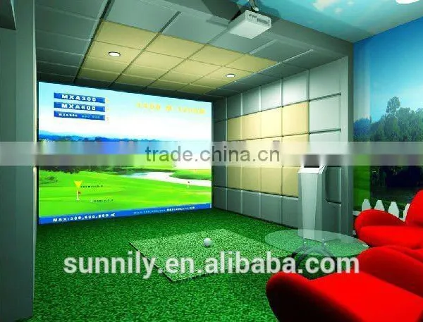 3d Golf Simulator