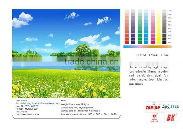 Light Box Film