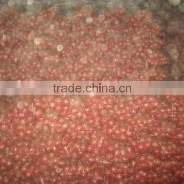 Chinese Yellow Onion Price for Wholesale photo-6