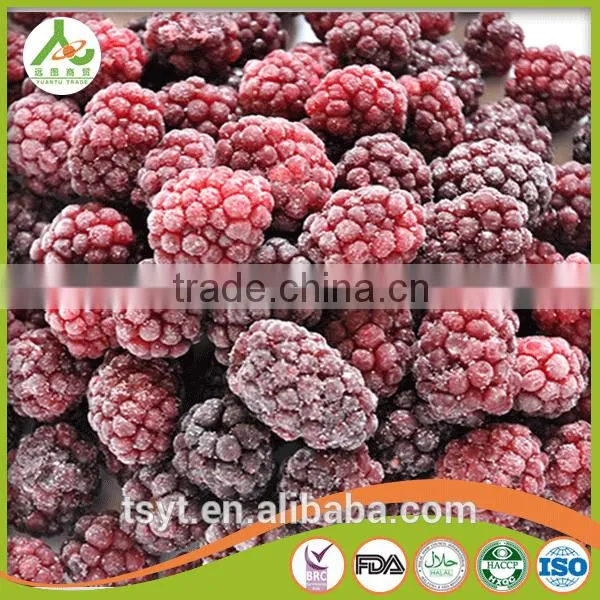 Asian Frozen Vegetables and Fruits Iqf Frozen Blackberry