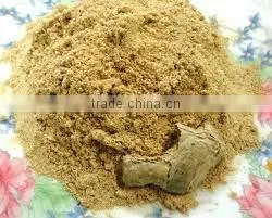 DRY GINGER POWDER