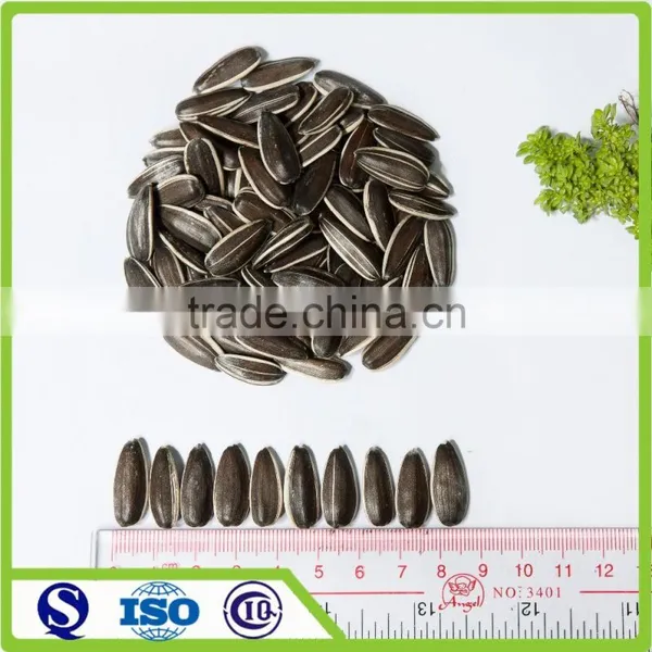 China High Quality Wholesale Sunflower Seeds Price