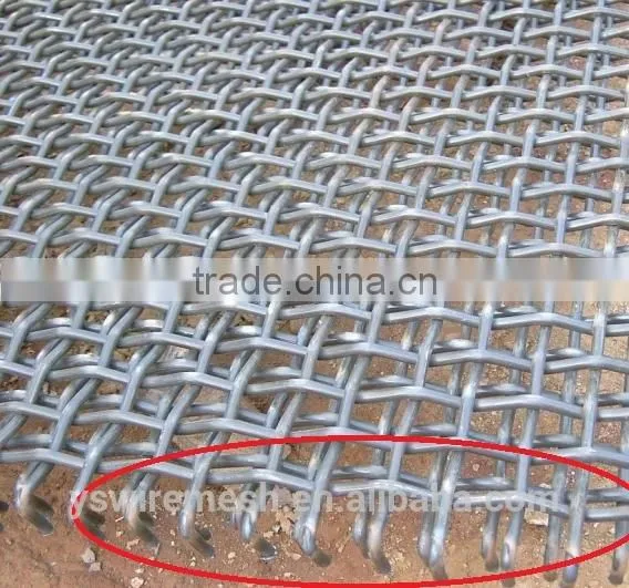 Crimped Wire Mesh photo-6