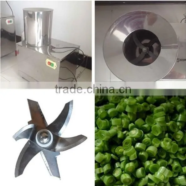 Cheap Price Stainless Steel Automatic Fruit and Vegetable Grinding Machine photo-3