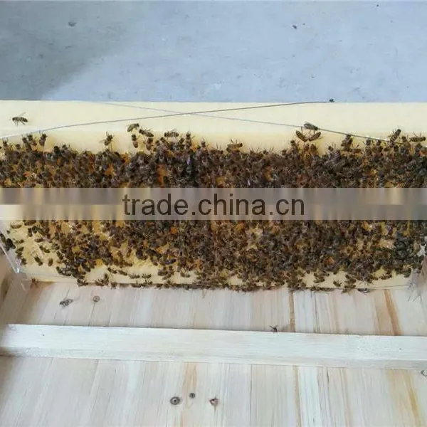 Honey Flow Beehive Frame/plastic Beehive Frame photo-4