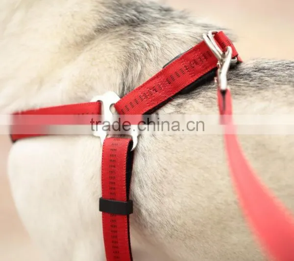 Durable Wholesale Pet Dog Leash and Harness photo-3