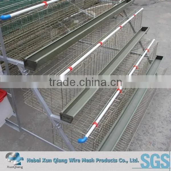 Poultry Chicken Cages Hot Sale Bird Cages photo-3