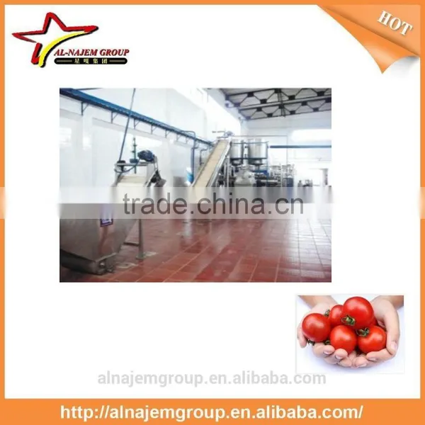 Automatic Tomato Paste Machine photo-2