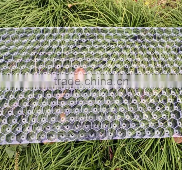 Hydroponic Wheat/barley/rice/paddy Seedling Tray Breeding photo-2