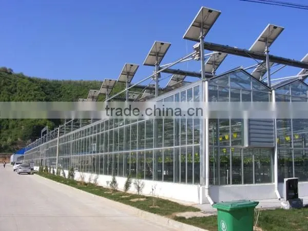 Different Models of Venlo Glass Multi-tunnel Green House With Good After-sale Service photo-2