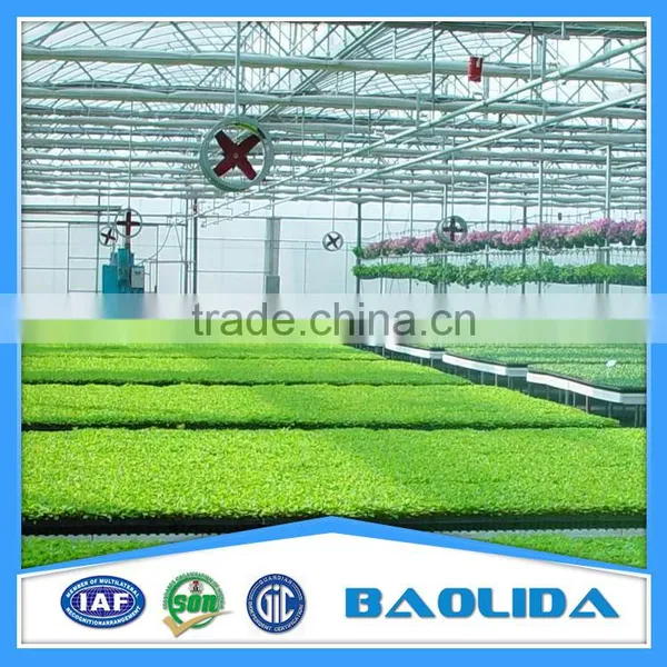Prefabricated Steel Frame Green House With Plastic Covering photo-4