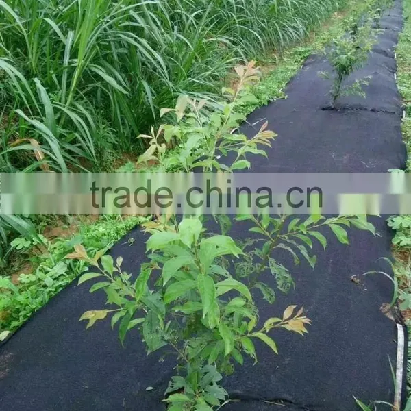 Tree Root Barrier photo-6