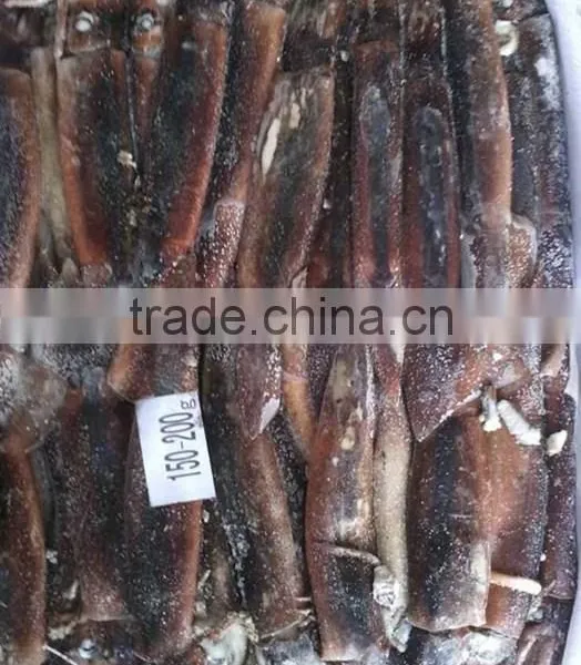 Seafood Squid Illex Squid Frozen Argentinus Squid