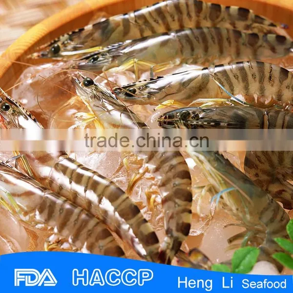 Frozen Banded Shrimp photo-3