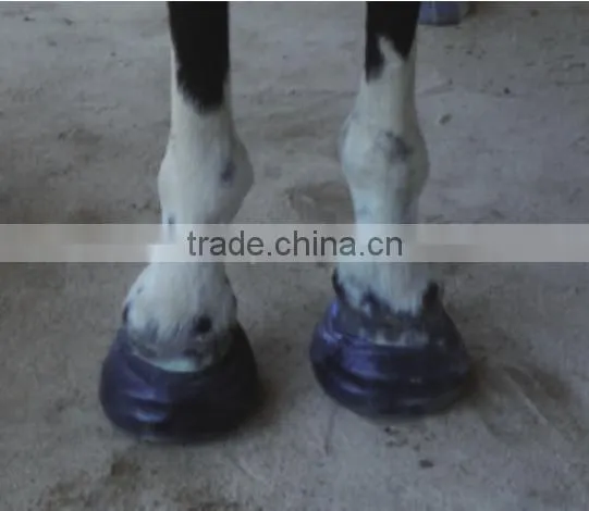 Hoof Cast photo-2