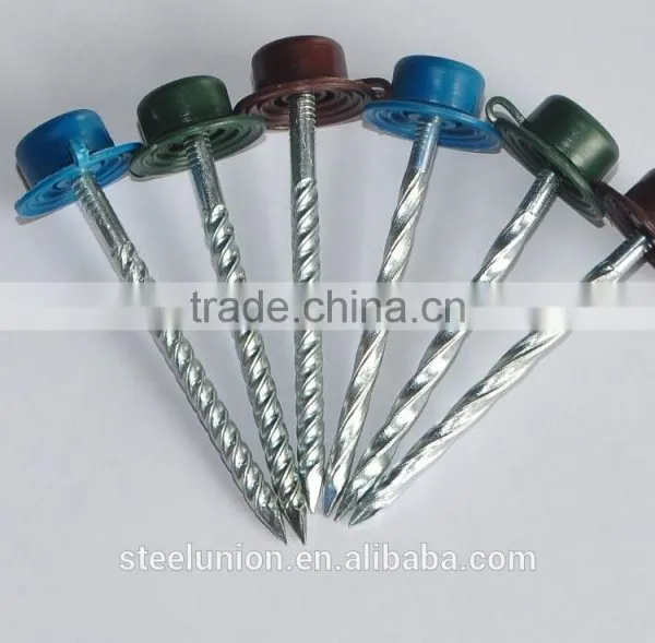Twisted Nails With Plastic Head photo-2