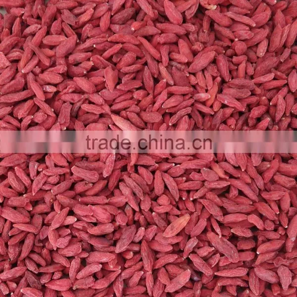 High Quality Organic Herbal Tea Bulk Dried Goji Berry photo-5