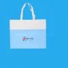 Non Woven ad Bag 5