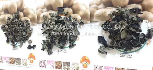 Factory Price Premium Quality AAA Grade Dried Black Fungus (Size:1.0-1.8cm,1.8-2.5cm,2.5cm Above) photo-4