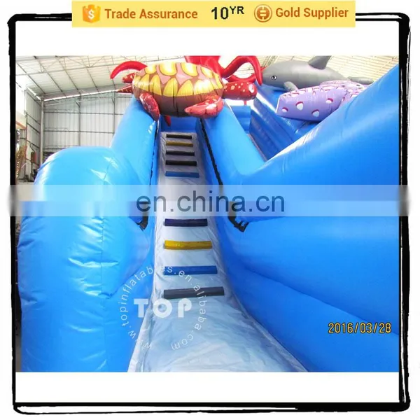 TOPINFLATABLES Water Hot Sale Slide, Inflatable Cartoon Slide photo-5