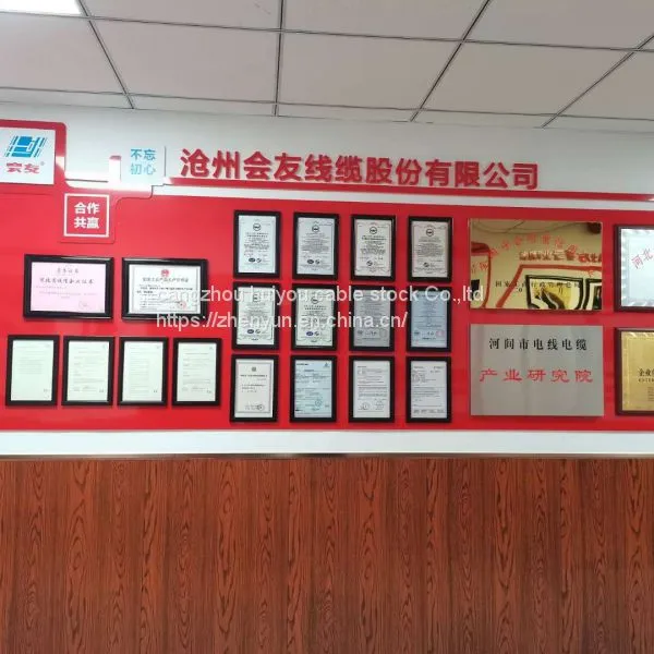 Power Cable Control Cable Rubber Cable Pvc Cable Xlpe Cable Fire Cable AAAC Cable ACSR photo-2