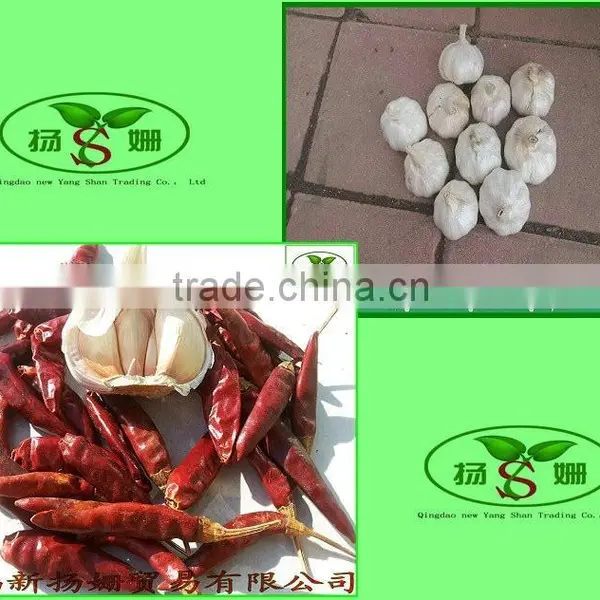 Fresh Small Chili/ Red Pepper,Cold Storage Dry Chili photo-3