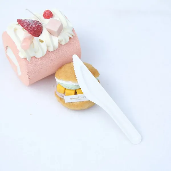 100% Bagasse Dinner Knife Sugarcane Biodegradable Tableware Disposable Bagasse Knife Serving Knife photo-5