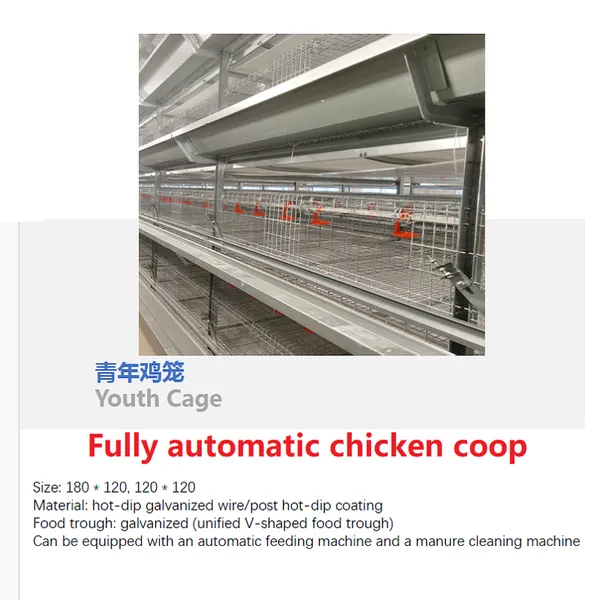 Fully Automatic Chicken Coop and Non Fully Automatic Chicken Coop photo-3