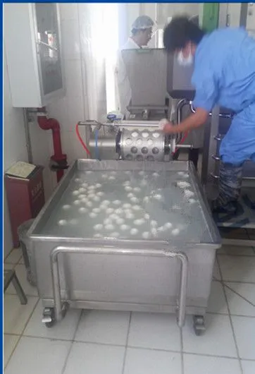 Mozzarella Cheese Production Line photo-3